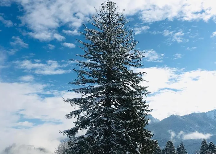 Apartamento Al Parco Pieve di Cadore